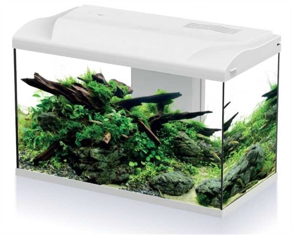 HS Aqua Aquarium Platy Bio 70 LED | 70L | 59 x 31 x 39 CM Wit Wit