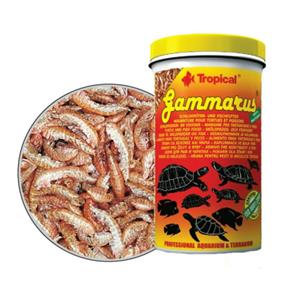 Tropical Gammarus 100ml