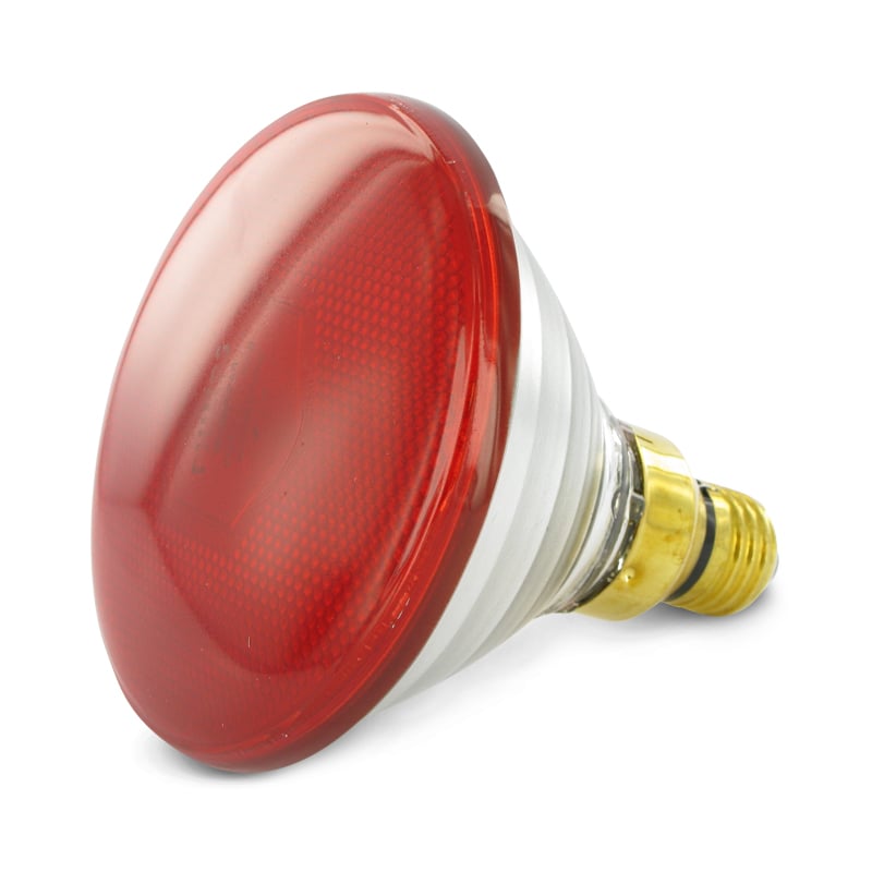 Philips Warmtelamp roodlicht (spaarlamp) 100watt