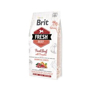 Brita - brit Fresh Beef Junior Growth and Joints – Trockenfutter für Hunde – 2,5 kg