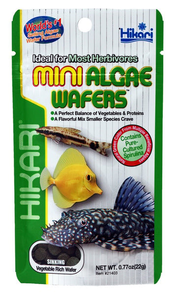 Hikari Mini Algae Wafers 1KG