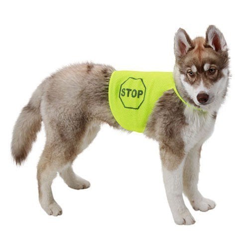 Kerbl Honden Veiligheidsvest M
