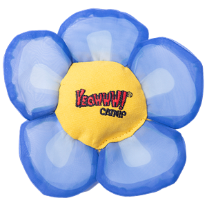 Yeowww! Yeowww Daisey's Flower Top Blue