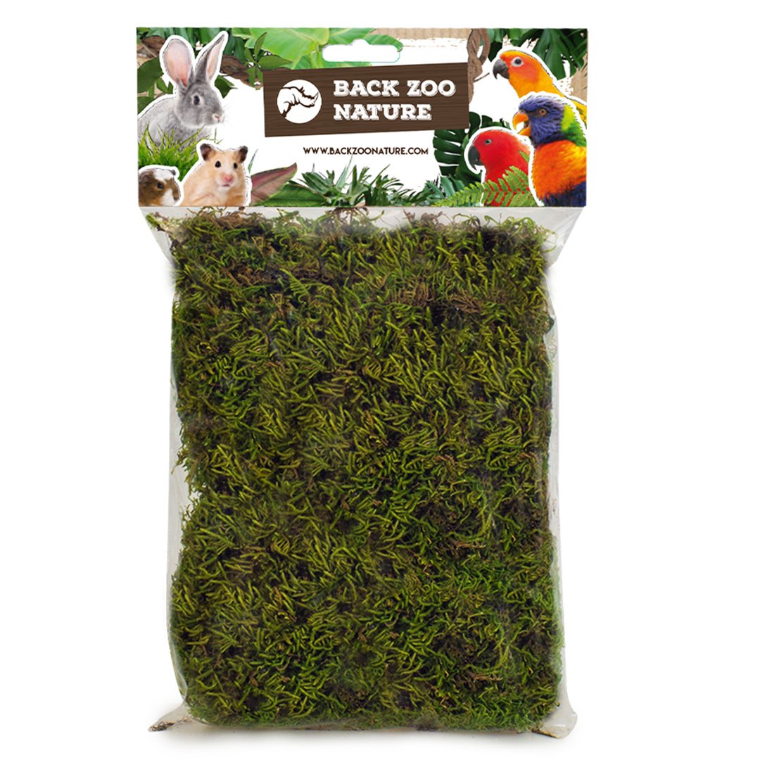 Back Zoo Nature Forest Moss 70 Gram