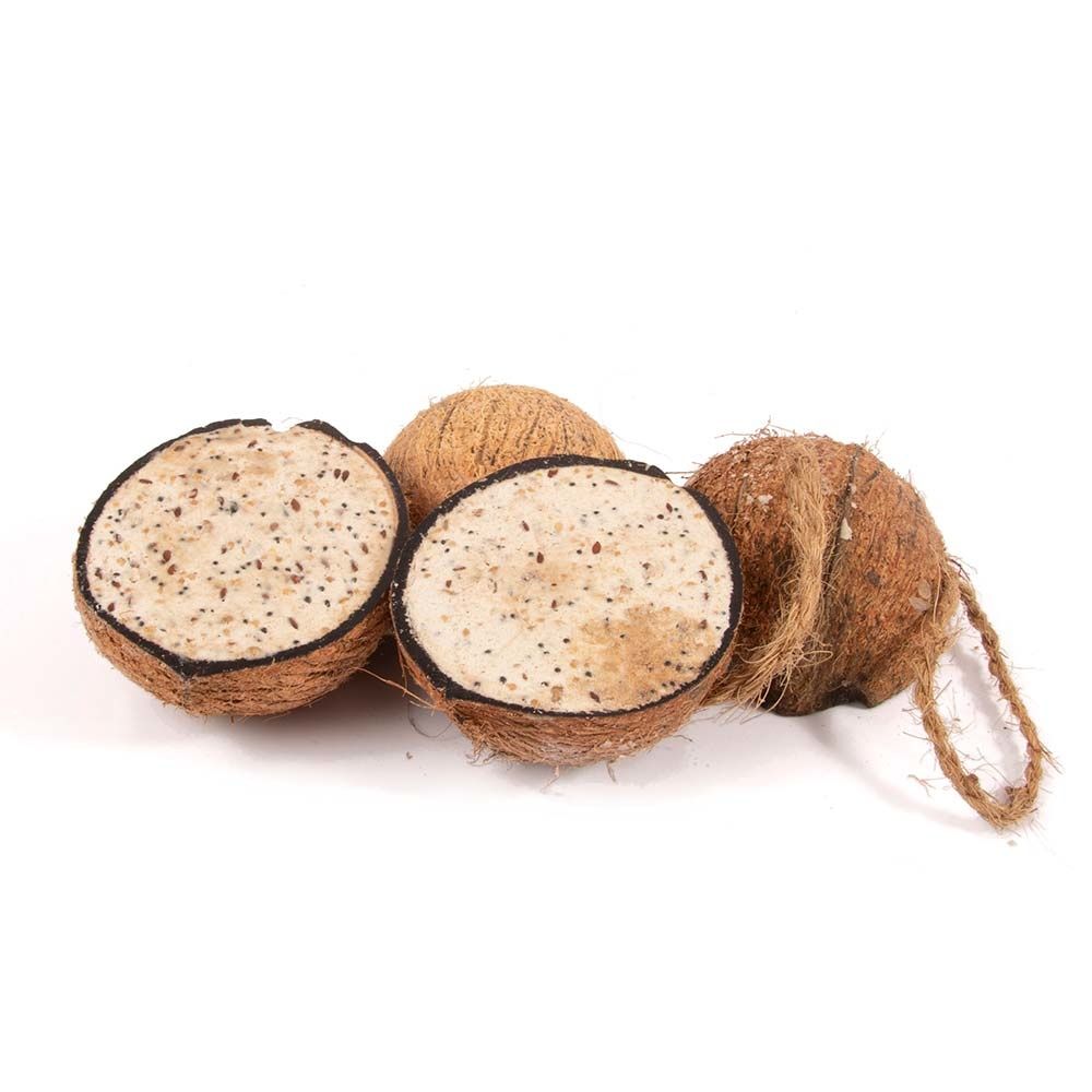 Vivara 4 halve kokosnoten met meelwormen