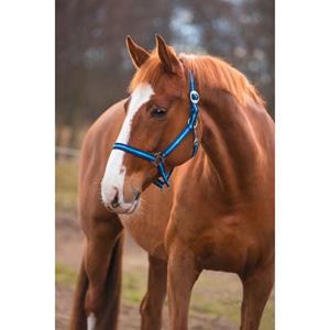 Covalliero Halster Hippo Blauw Cob