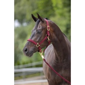 Covalliero Halster Classy Merlot Cob