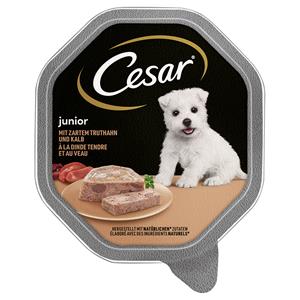 Cesar 28x150g  Junior Kuipje met kalkoen en kalfsvlees natvoer voor honden