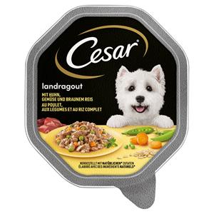 Cesar Megapack  kuipjes 28 x 150 g - Landstoofpotje met kip, groenten en zilvervliesrijst