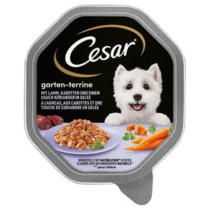 Cesar Megapack  kuipjes 28 x 150 g - Lam, wortelen en koriander in gelei