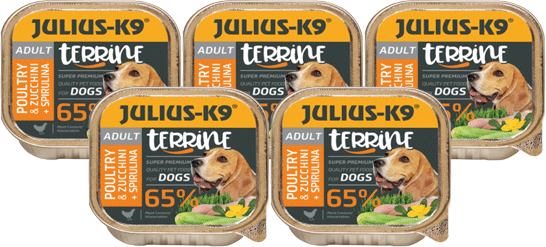 Julius-K9 Paté Kip - 5 x 150 g