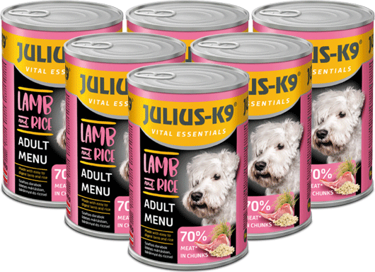 Julius-K9 Lamb & Rice - Voordeelpakket - 6 x 1240g