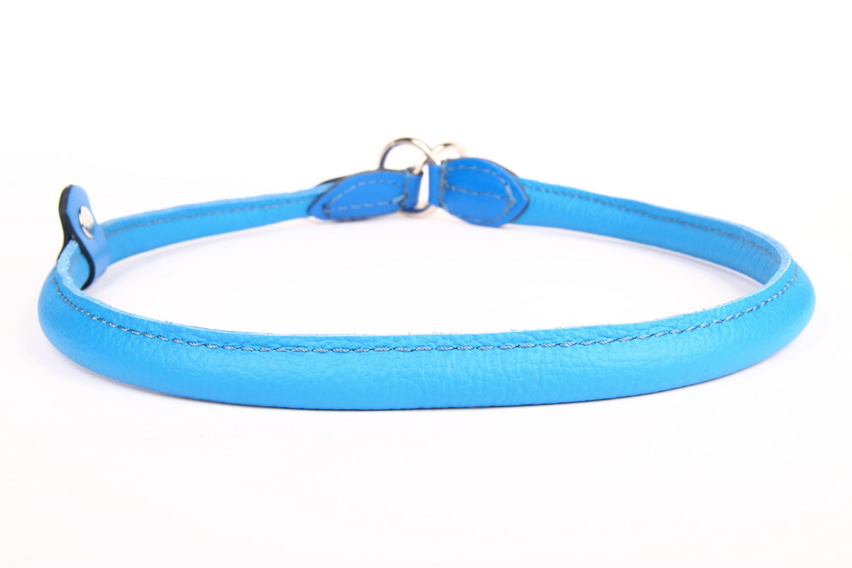 Hondenbed.nl Leren sliphalsband hond (chroom)