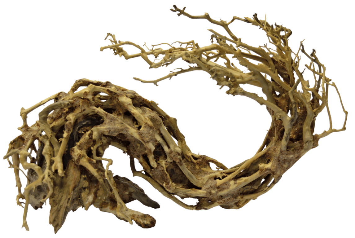 SuperFish Bonsai Wave Large aquaria - 