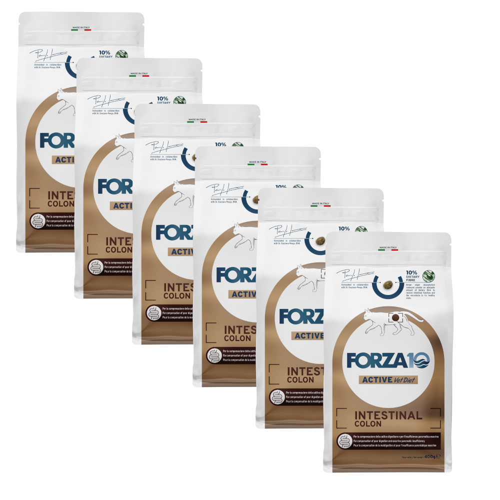 Forza10 Active Line Cat 400g Forza10 Active Vet Diet Intestinal Colon Fish Kattenvoer droog