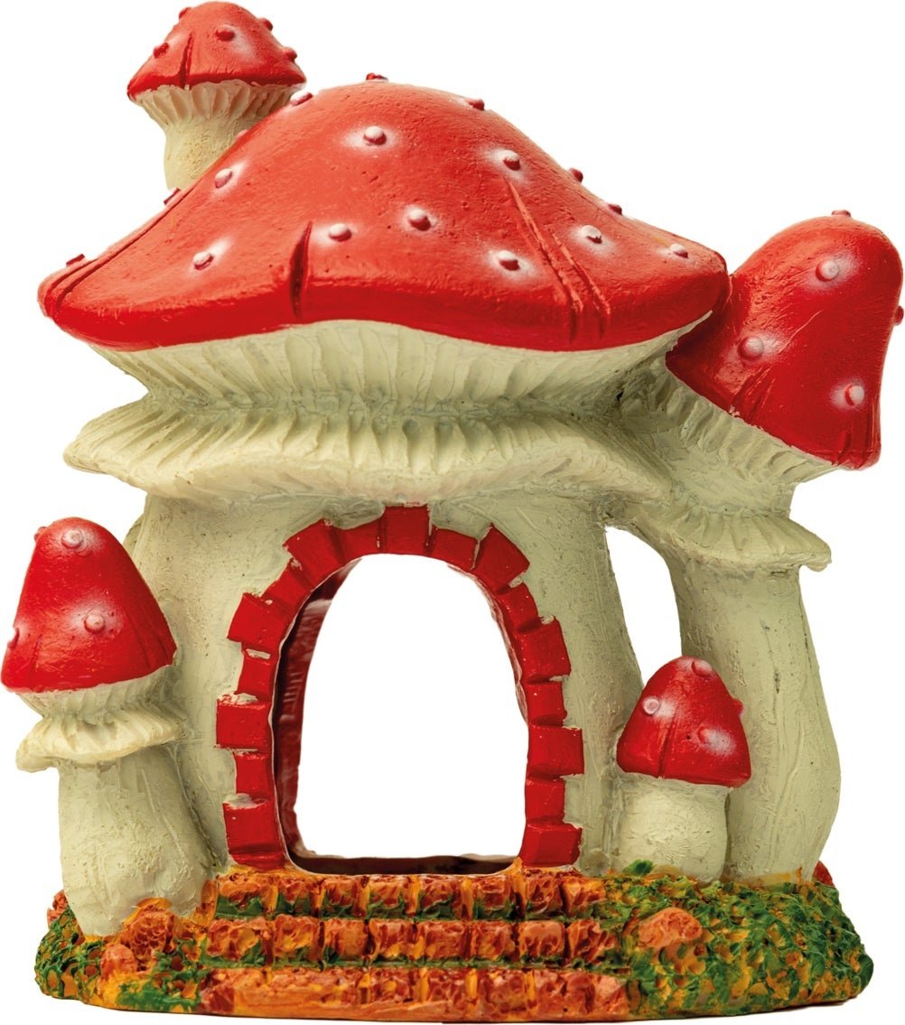 SuperFish Mushroom House S