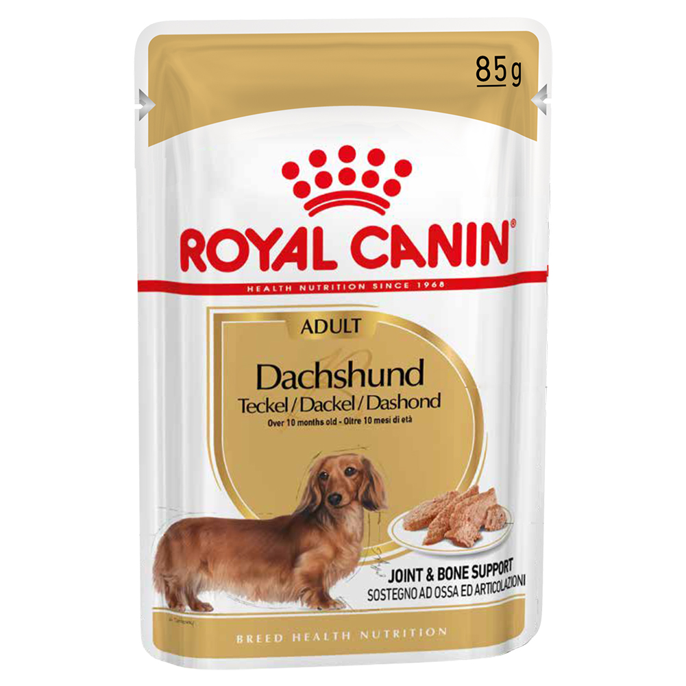 Royal Canin Breed Royal Canin Teckel Adult - Hondenvoer Bestel ook natvoer: 12 x 85 g Royal Canin Teckel Adult