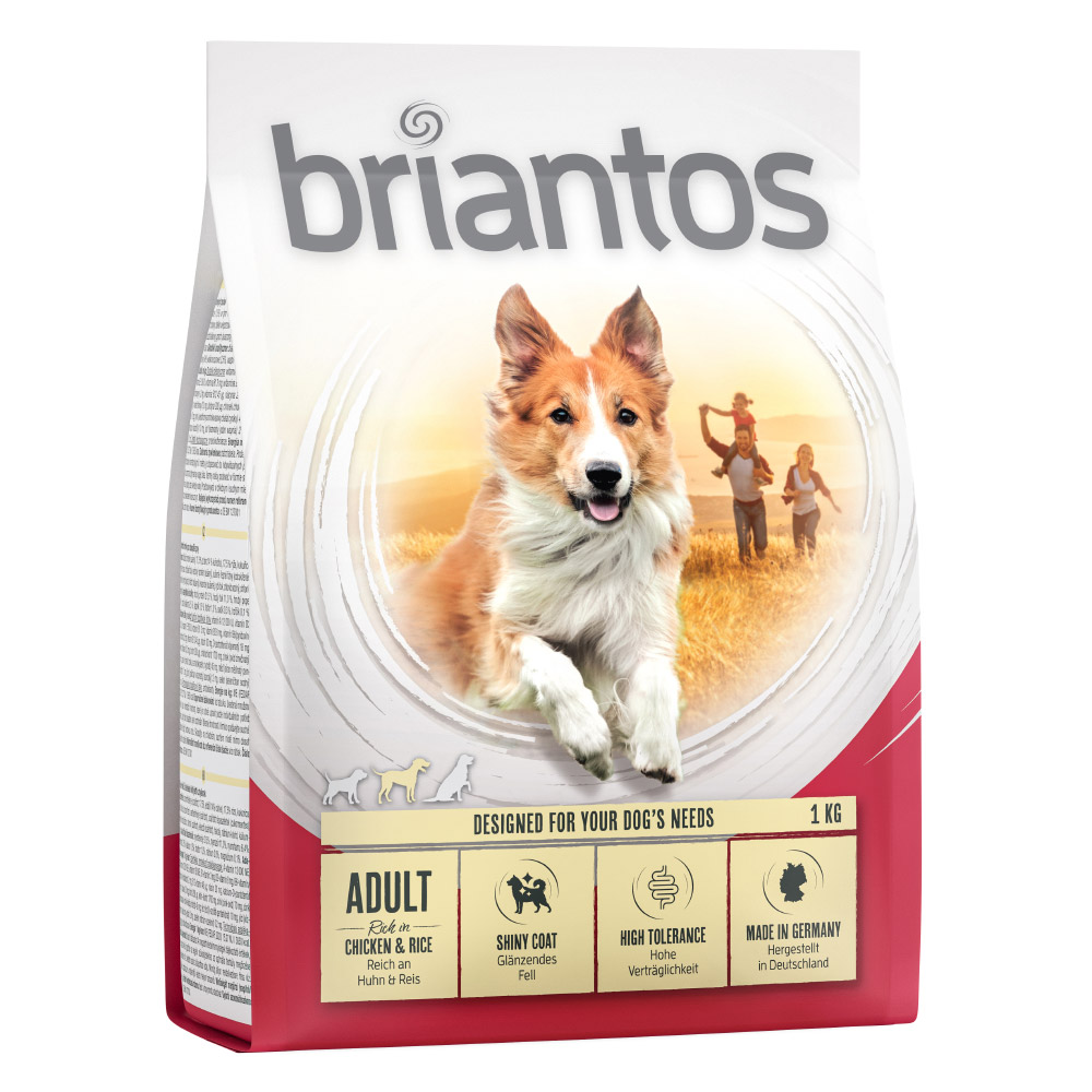 Briantos Adult Kip & Rijst Hondenvoer - Voordeelpakket: 4 x 1 kg