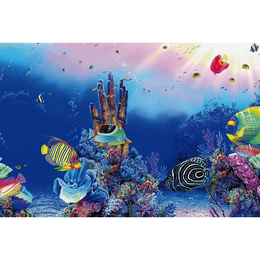 SuperFish Deco Poster F 120x61CM