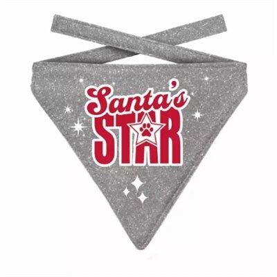 Plenty Gifts Kerst Bandana Santa's Star Glitter Zilver 12-16 CM 10X13 CM