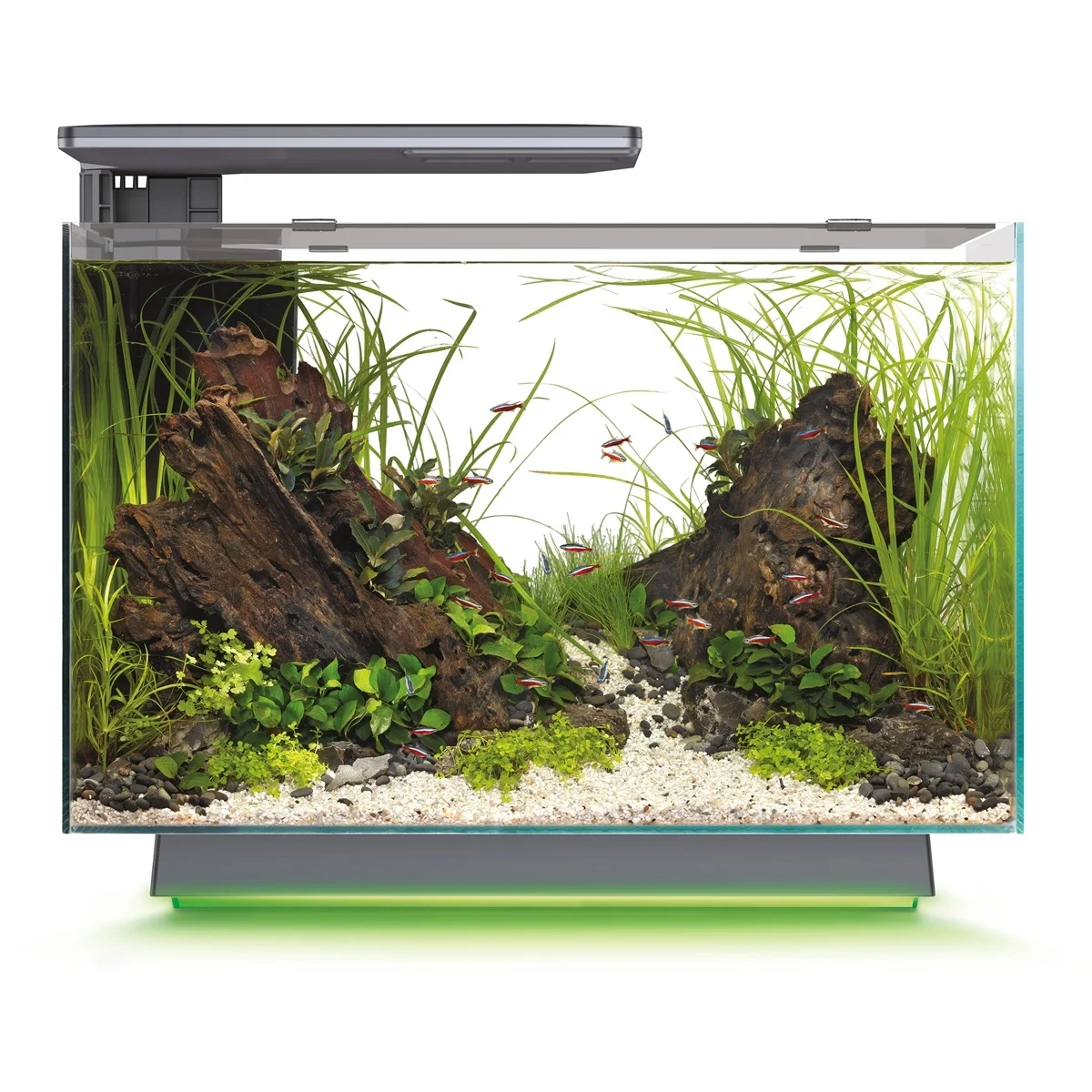 SuperFish Quadro 70 Multi Colour Zwart