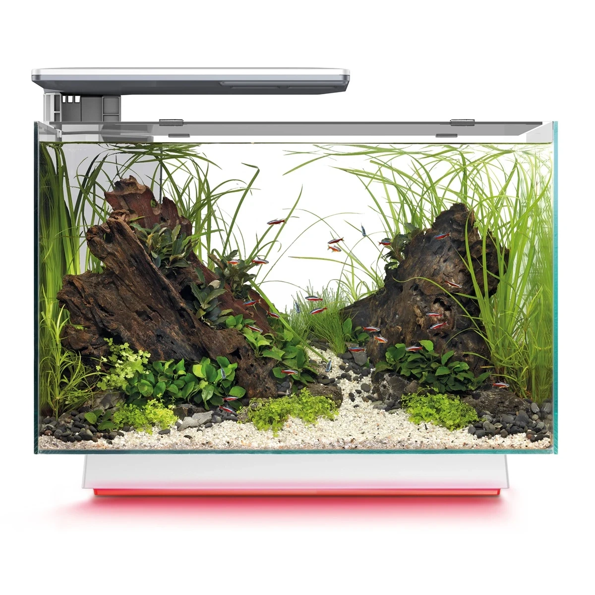 SuperFish Quadro 70 Multi Colour Wit