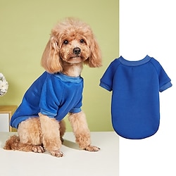 Light in the box Honden Sweatshirt Modieus Winter Warm Modieus Comfortabel Buiten Dagelijks gebruik Voor Binnen Hondenkleding for Small Gemiddeld