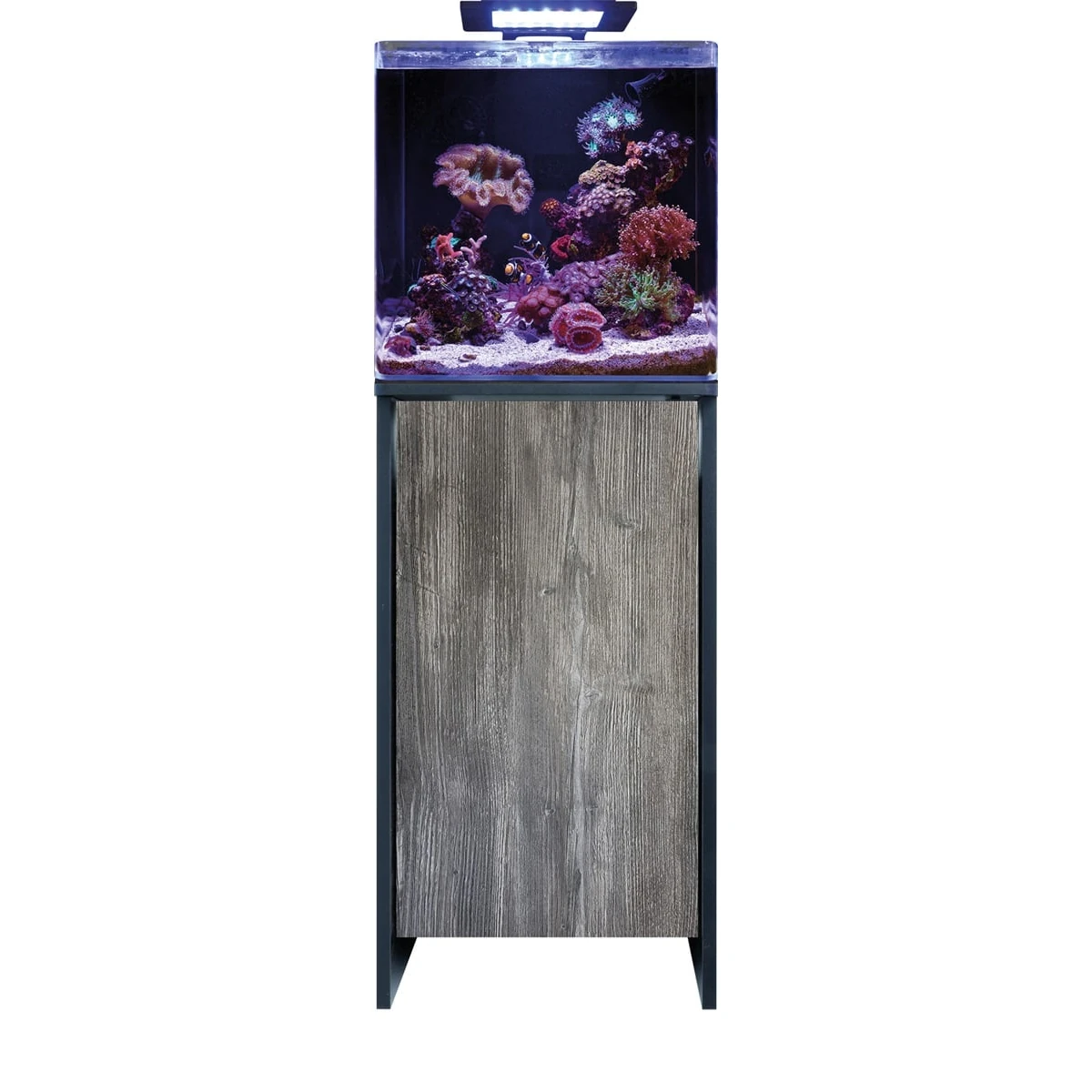 Blue Marine Reef 90 Meubel Black/Pasa