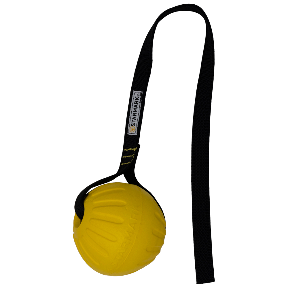 Starmark GripCord Durafoam Ball Cord M Hond