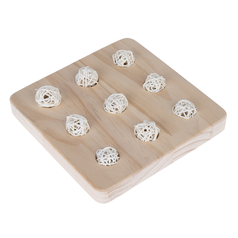 TIAKI Intelligentiespeelgoed Food Board 20x 20x 2,5cm knaagdieren