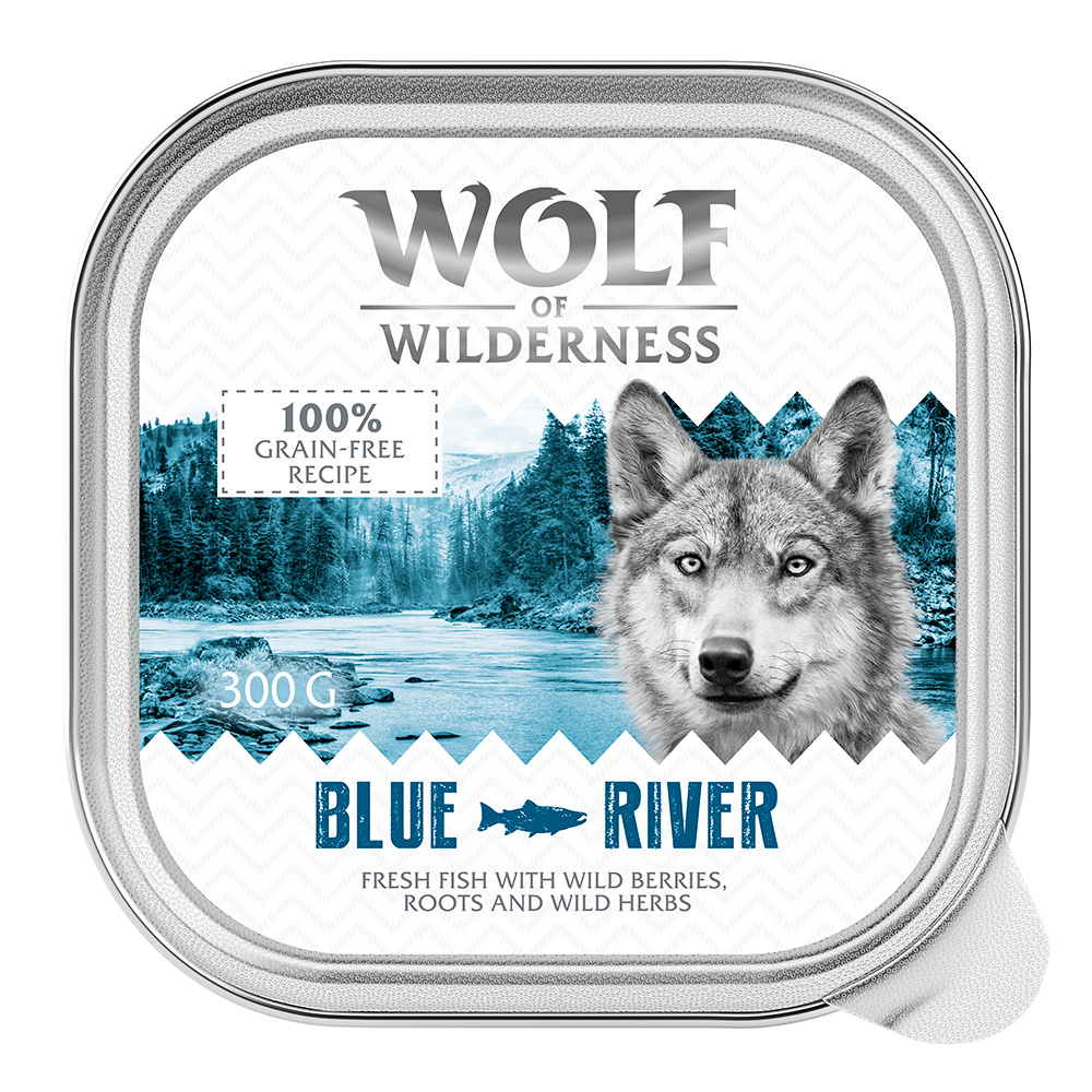 24x300g Adult Blue River Vis Wolf of Wilderness Hondenvoer