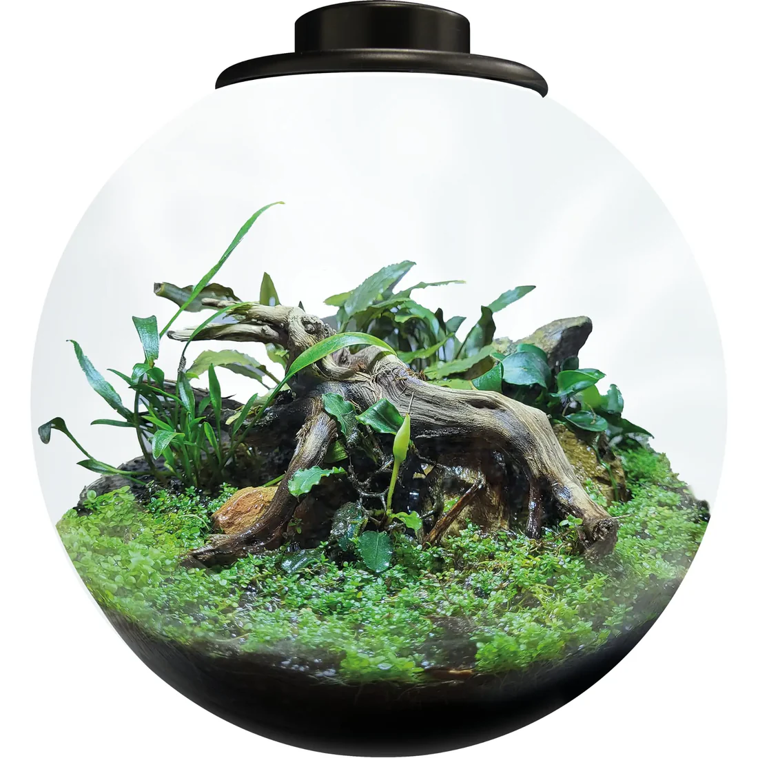 Superfish BioArt Bowl 225 zwart