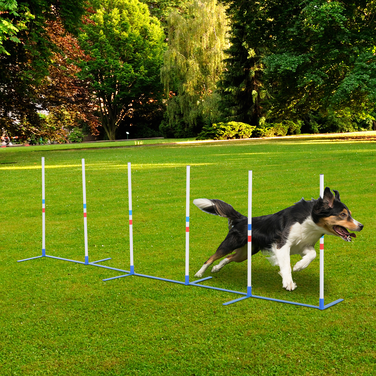 PawHut Honden Slalompalen, Behendigheidstraining set voor honden, Lichtgewicht, duurzaam, incl. tas van 600D, Eenvoudig te vervoeren | Aosom.nl
