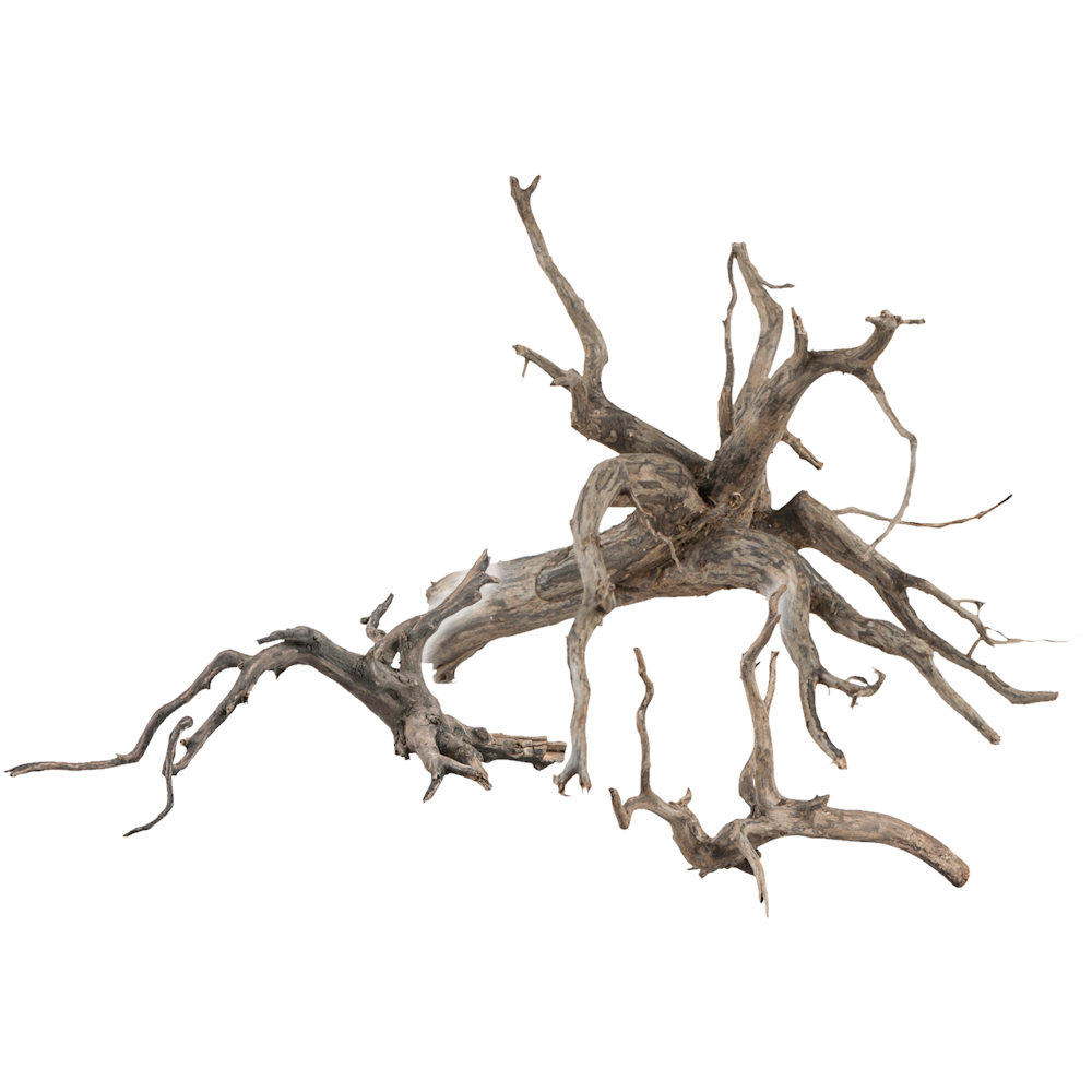 Sera Scaper Root XS - 18-20CM