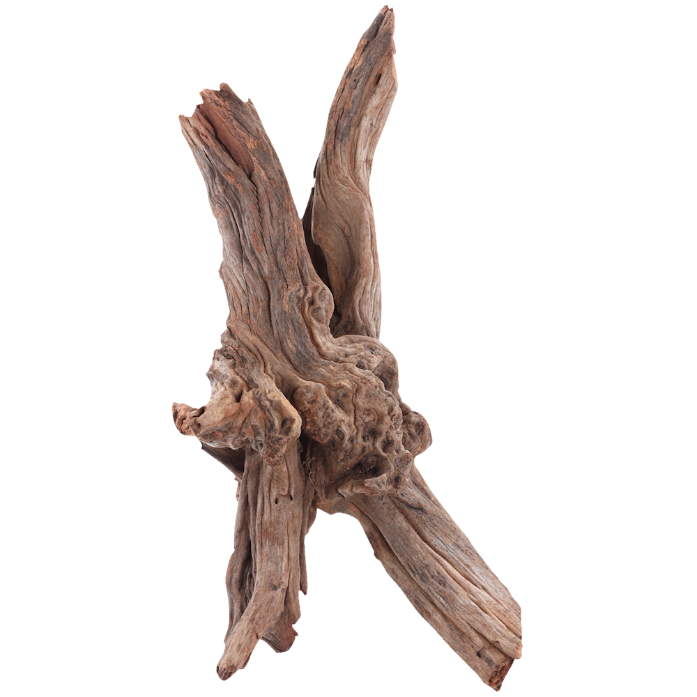 Sera Drift Wood - Natuurlijk drijfhout M - 25-40CM - (0,6 - 0,9KG)