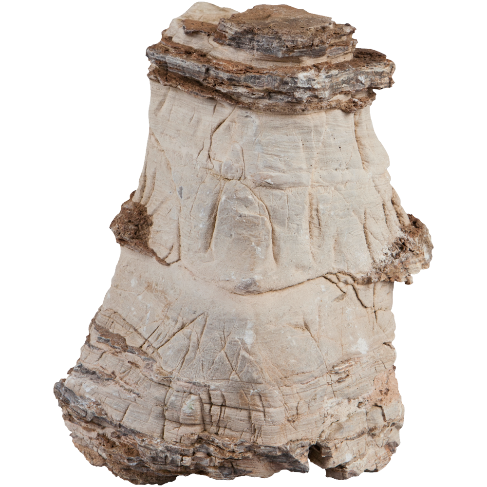 Sera Rock Asian Pagoda L - 2-3KG
