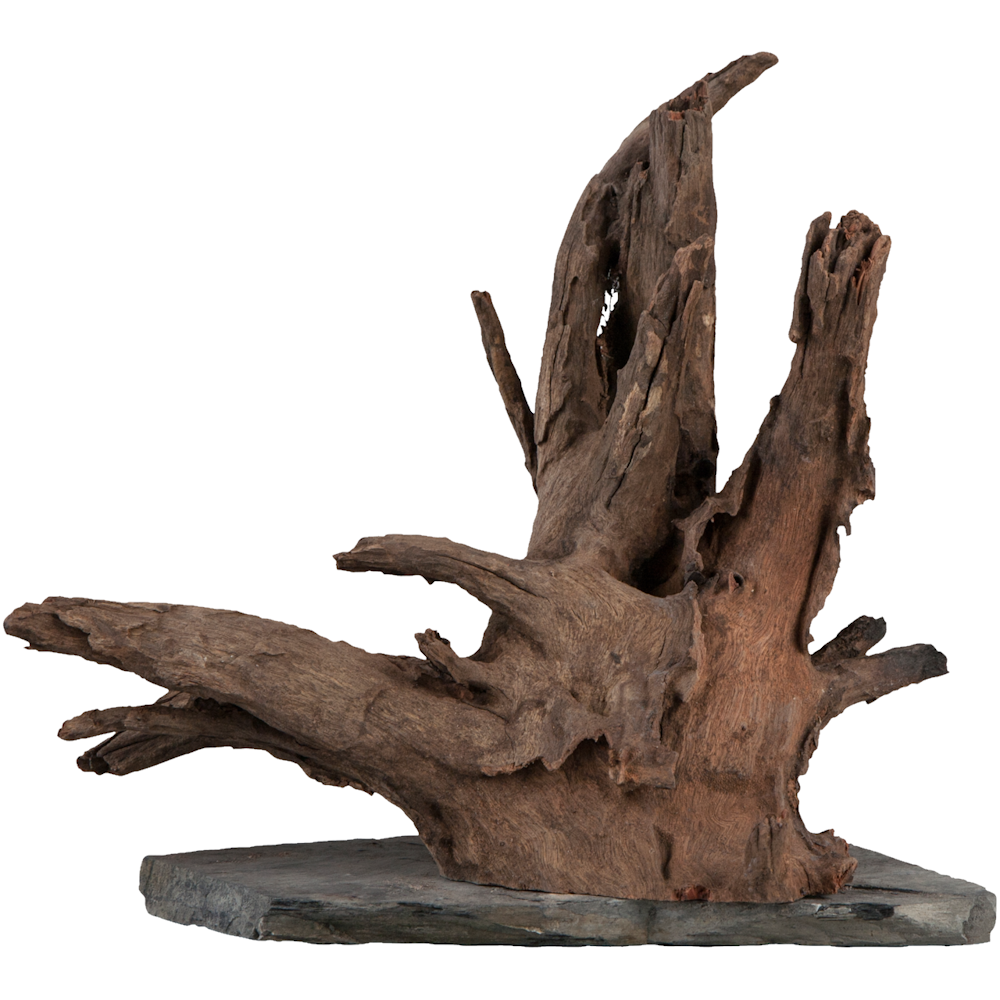 Sera Scaper Wood L - 30-35CM