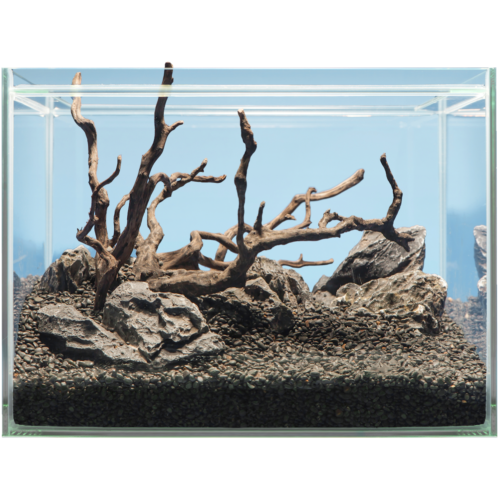 Sera Hardscape Shrimp