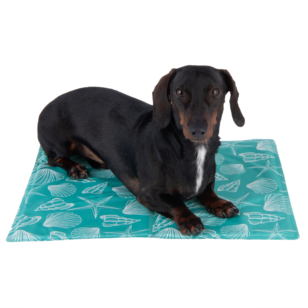 Zooplus Exclusive Koelmat Bondi 40x50cm Hond & Kat