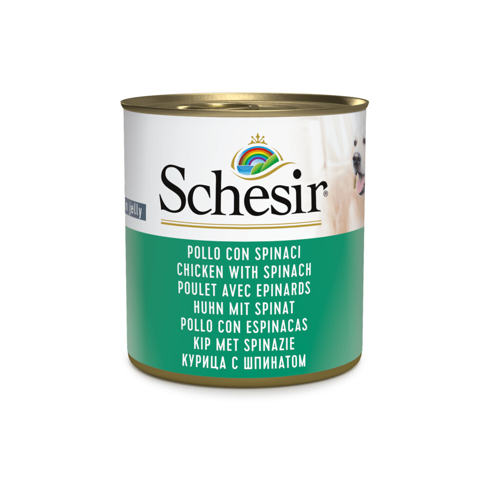 Schesir Hondenvoer Kip Spinazie in Gelei 285 gr