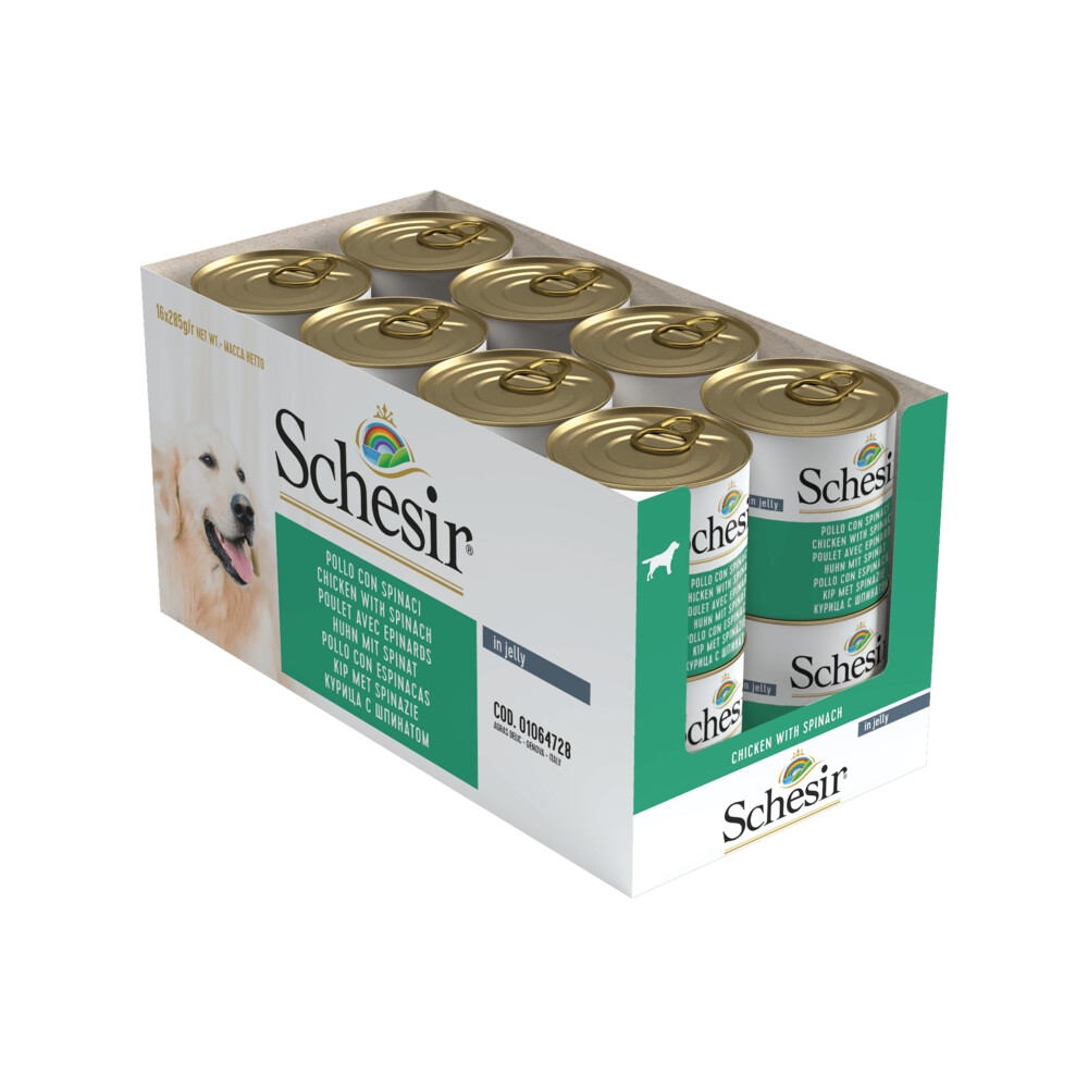 Schesir 16x  Hondenvoer Kip Spinazie in Gelei 285 gr