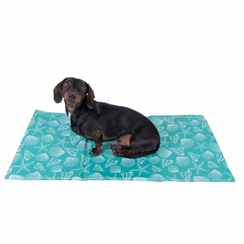 Zooplus Exclusive Koelmat Bondi 50x90cm Hond & Kat