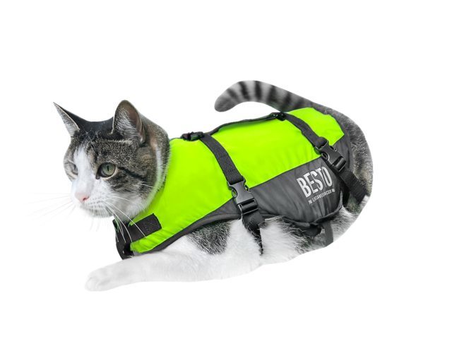 Besto Kattenvest Deluxe met grijplijn geel/zwart