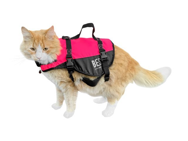 Besto Kattenvest Deluxe met grijplijn roze/zwart