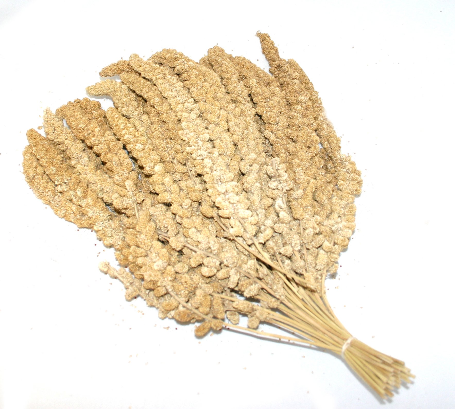 Duvo+ Trosgierst chinees 15KG