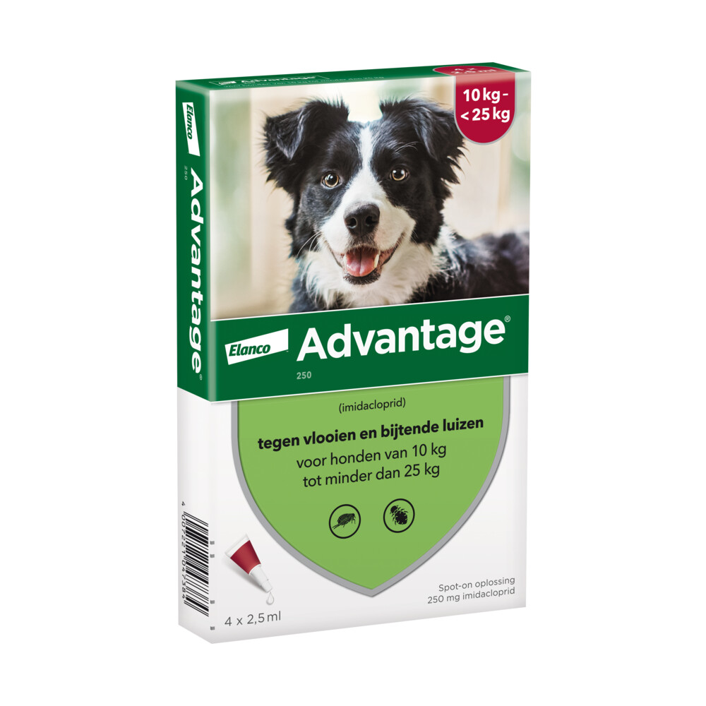 Advantage 2x  Anti Vlooiendruppels 250 Hond 10 - 25 kg 4 pipetten