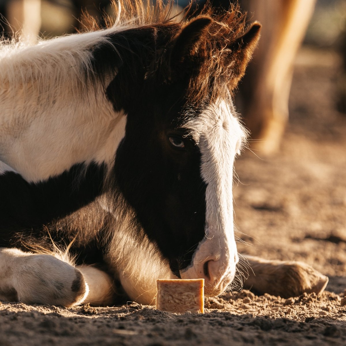 PIPPA Equestrian Soap PIPPA Paardenshampoo Honey & Propolis