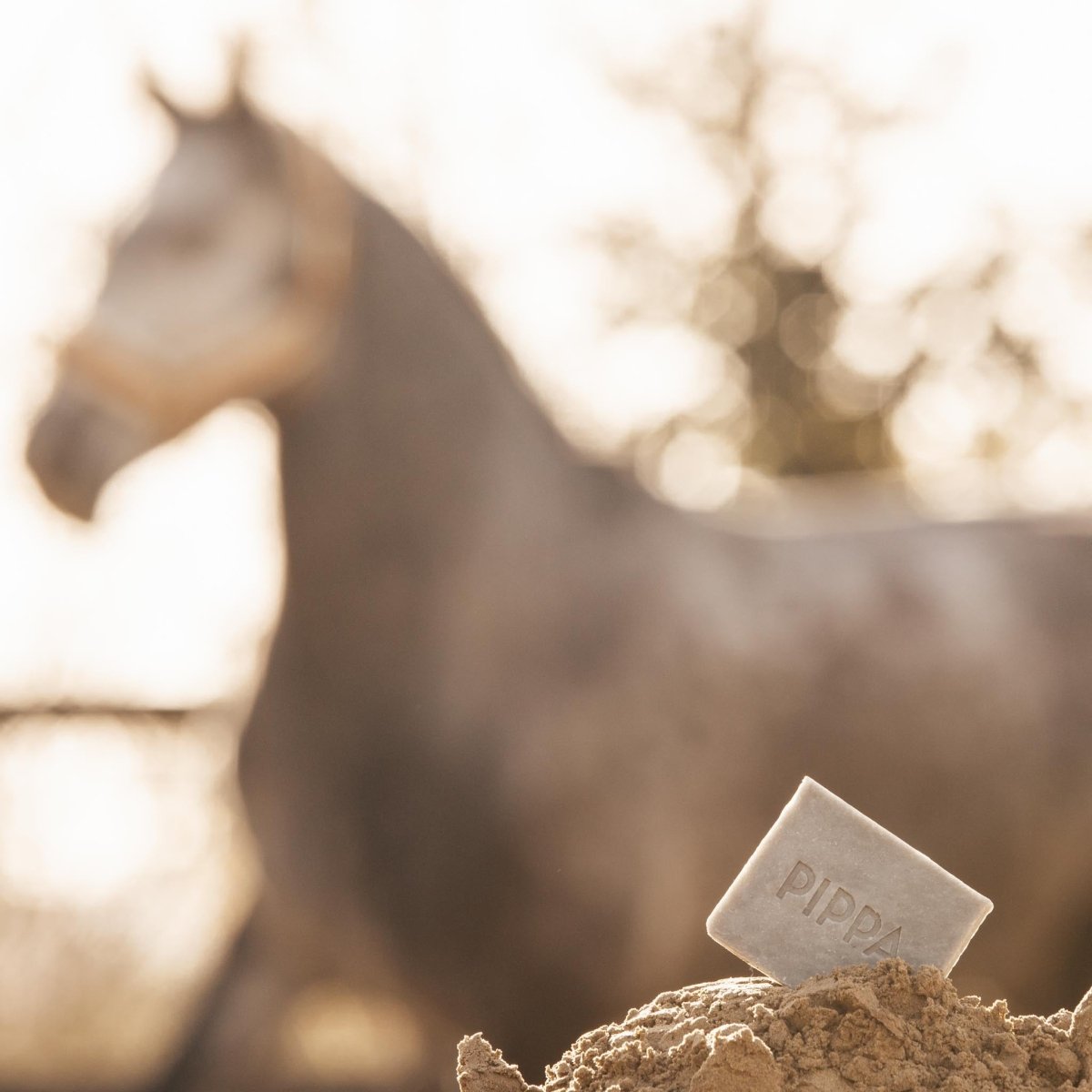 PIPPA Equestrian Soap PIPPA Paardenshampoo Charcoal & Pepermint