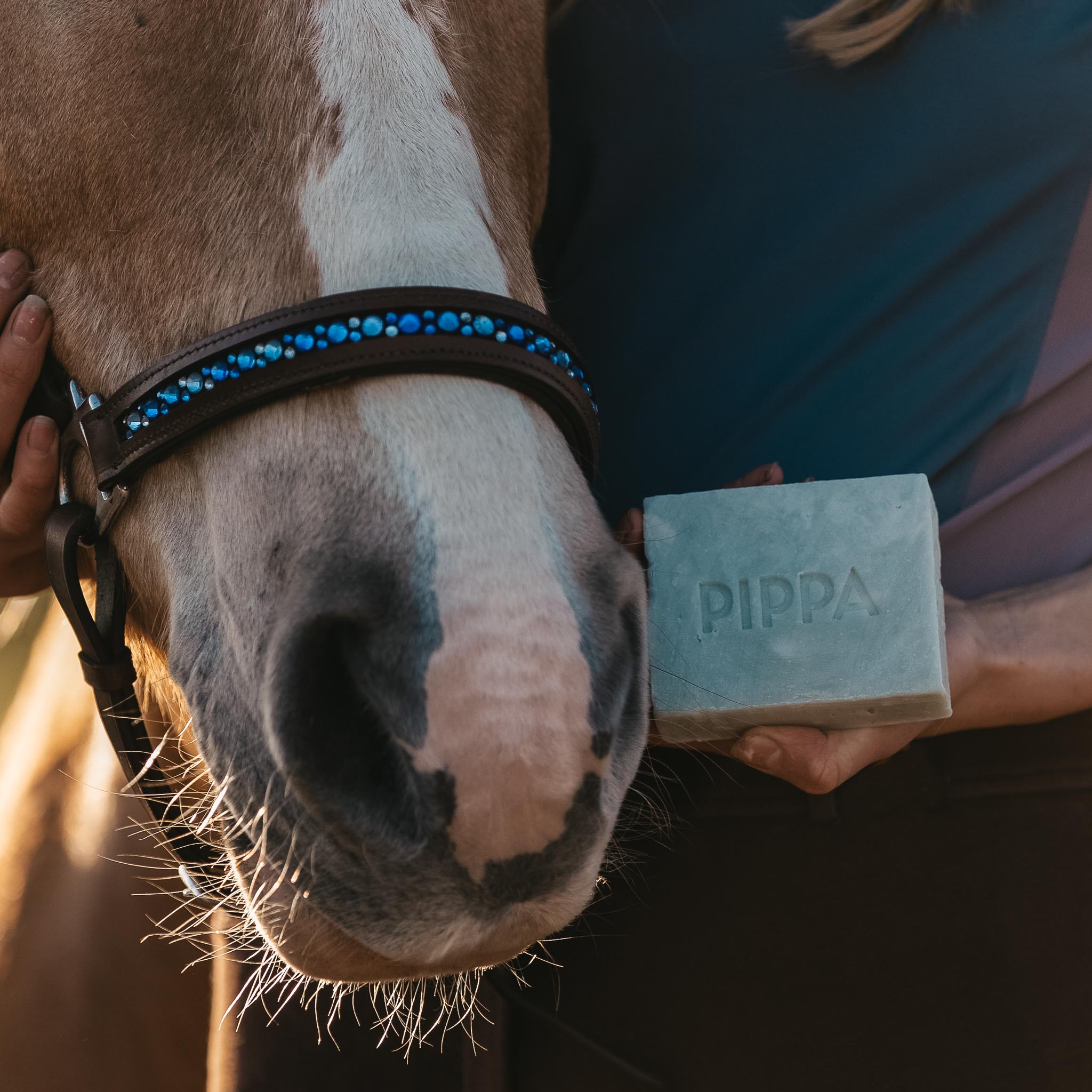 PIPPA Equestrian Soap PIPPA Paardenshampoo Aloë Vera & Avocado