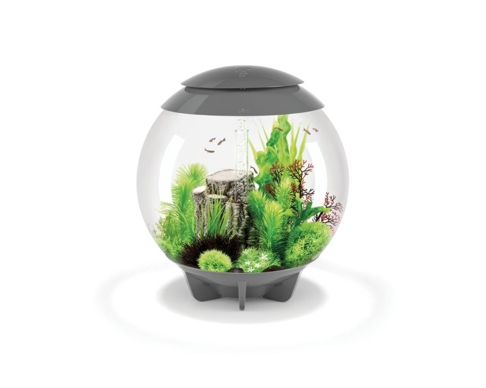 Oase biOrb Halo 60 MCR grijs - 